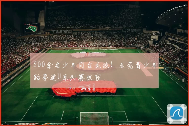 500余名少年同台竞技！东莞青少年跆拳道U系列赛收官
