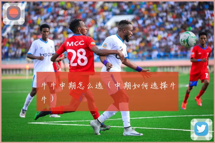 牛牛中期怎么选（中期如何选择牛牛）